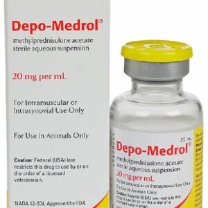 Depo-Medrol Injection for Dogs and Horses