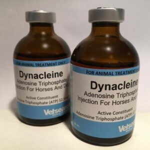 Dynacleine