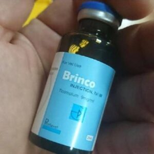 Brinco