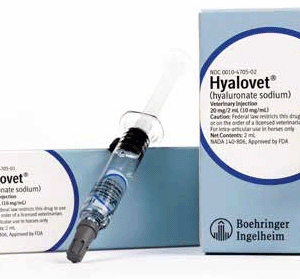 Hyalovet