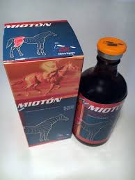MIOTÓN – 100 ML INJECTION