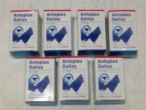 Antoplex Gallos
