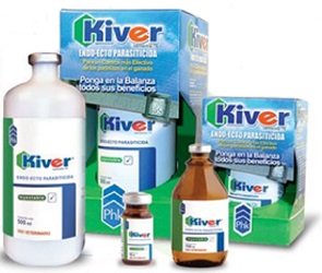 Kiver