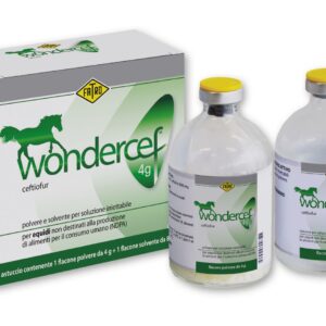 WONDERCEF