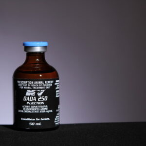 Dada 250