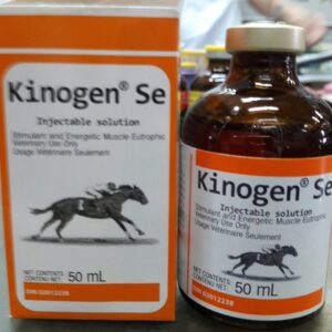 Kinogen SE